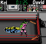 Wrestling Madness Screenshot 1